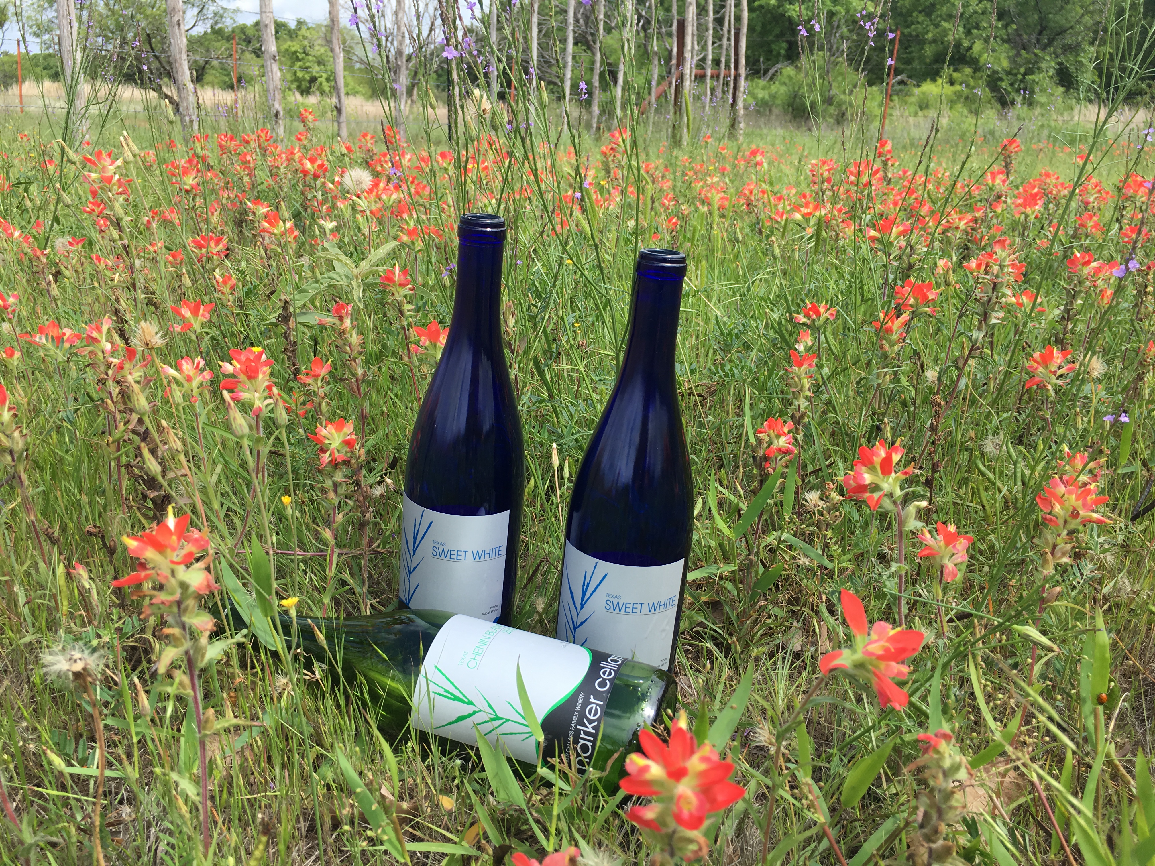 Marker Cellars, One Winery’s Effort to Save Texas – Texas Lifestyle